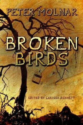 Cover of Broken Birds