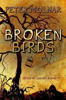 Book cover for Broken Birds