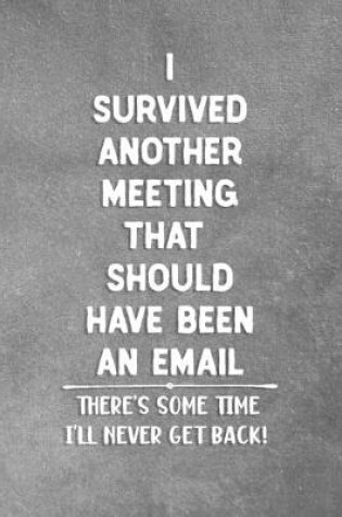 Cover of I Survived Another Meeting That Should Have Been An Email