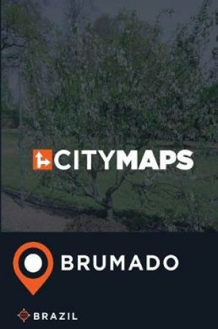 Cover of City Maps Brumado Brazil