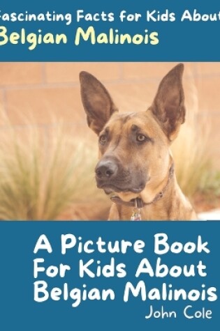 Cover of A Picture Book for Kids About Belgian Malinois