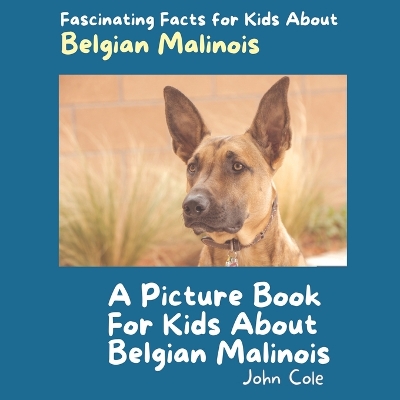 Book cover for A Picture Book for Kids About Belgian Malinois