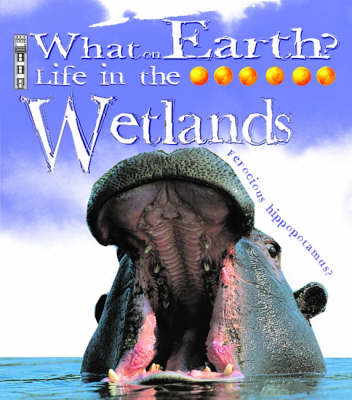 Book cover for Wetlands