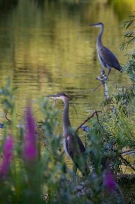 Book cover for Two Blue Herons at the Lake Journal