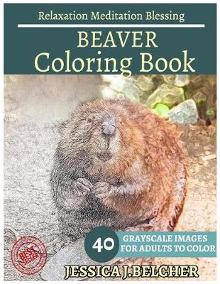 Book cover for Beaver Coloring Book for Adults Relaxation Meditation Blessing