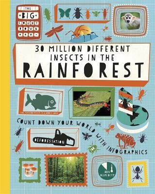 Book cover for The Big Countdown: 30 Million Different Insects in the Rainforest