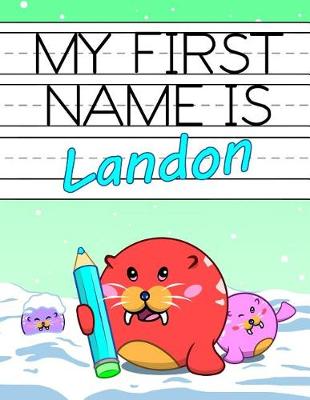 Book cover for My First Name Is Landon