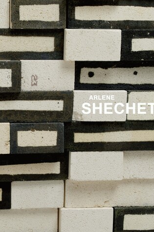 Cover of Arlene Shechet