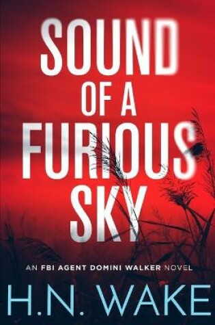 Cover of Sound of a Furious Sky