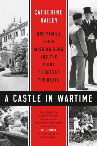 Book cover for A Castle in Wartime