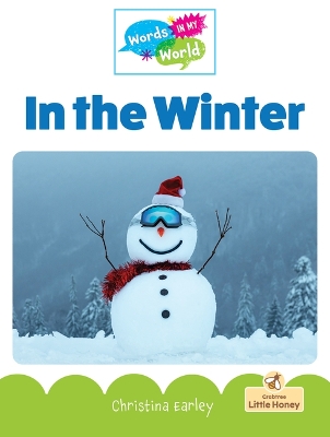 Book cover for In the Winter