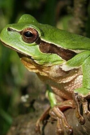 Cover of Tree Frog Perched and Ready to Jump Journal