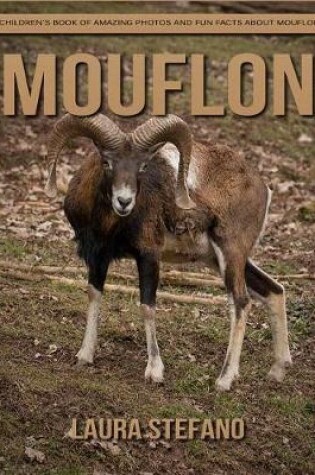 Cover of Mouflon