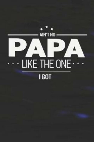 Cover of Ain't No Papa Like The One I Got