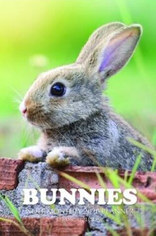 Cover of Bunnies Note Monthly 2020 Planner 12 Month Calendar