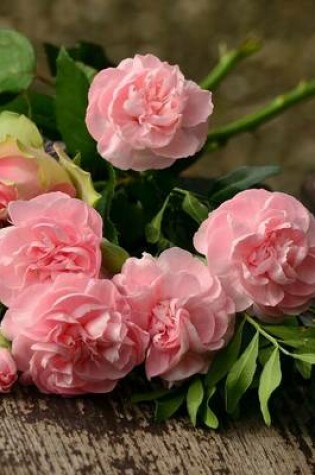 Cover of A Bouquet of Pink Roses on a Bench in the Park