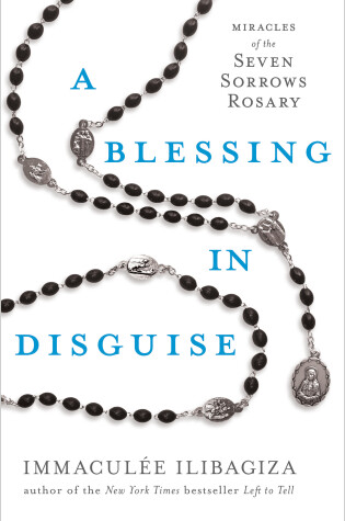 Cover of A Blessing in Disguise