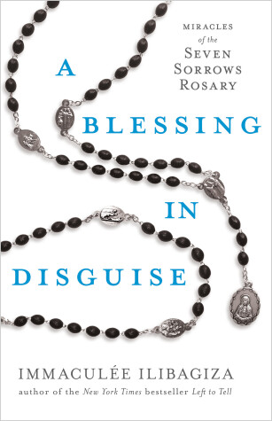 Book cover for A Blessing in Disguise