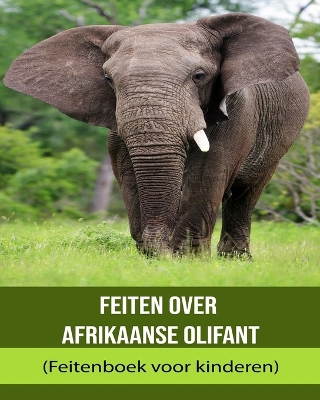 Book cover for Feiten over Afrikaanse olifant (Feitenboek voor kinderen)