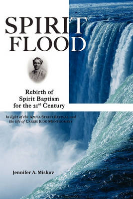 Book cover for Spirit Flood
