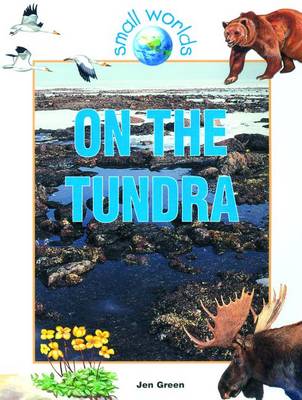 Book cover for On the Tundra