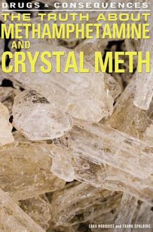 Cover of The Truth about Methamphetamine and Crystal Meth