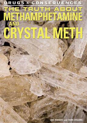 Cover of The Truth about Methamphetamine and Crystal Meth