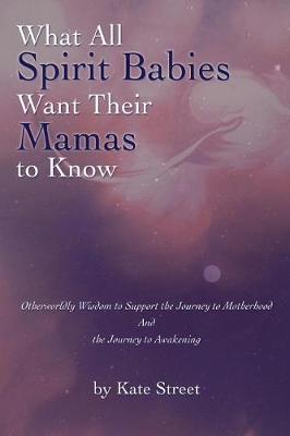 Book cover for What All Spirit Babies Want Their Mamas to Know