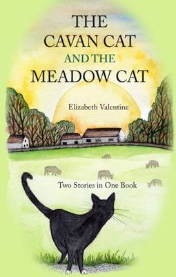 Book cover for The Cavan Cat and the Meadow Cat