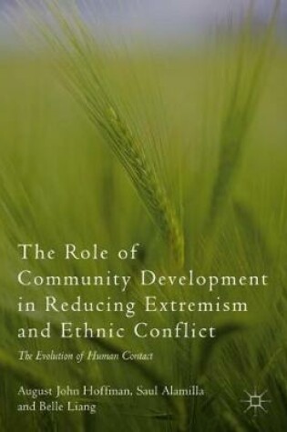 Cover of The Role of Community Development in Reducing Extremism and Ethnic Conflict