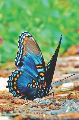 Cover of Blue Butterfly Pretty Blank Lined Journal for daily thoughts notebook Lovely Lake Arrowhead Photograph