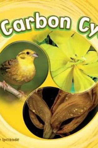 Cover of Carbon Cycle: a 4D Book (Cycles of Nature)