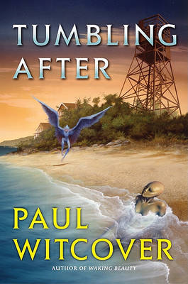 Book cover for Tumbling After