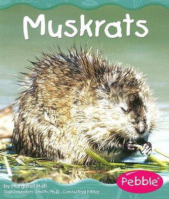 Book cover for Muskrats