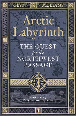 Book cover for Arctic Labyrinth