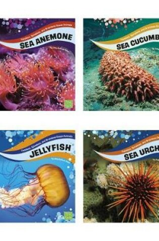 Cover of Faceless, Spineless, and Brainless Ocean Animals