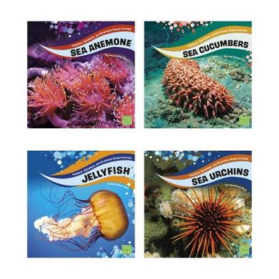 Cover of Faceless, Spineless, and Brainless Ocean Animals