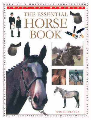 Book cover for The Essential Horse Book