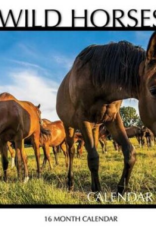 Cover of Wild Horses Calendar 2017