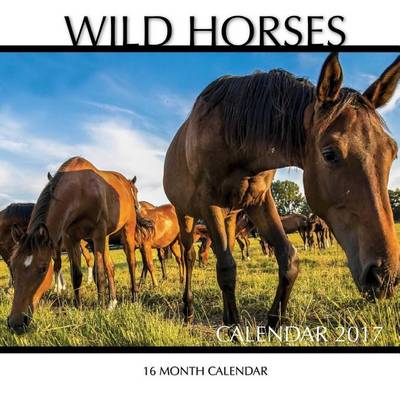 Book cover for Wild Horses Calendar 2017