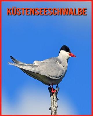 Book cover for Küstenseeschwalbe