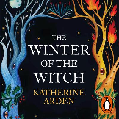 Book cover for The Winter of the Witch