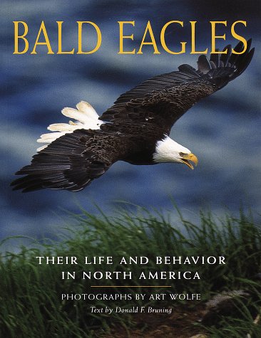 Book cover for Bald Eagles