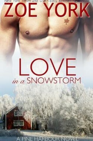 Cover of Love in a Snowstorm