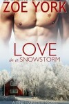 Book cover for Love in a Snowstorm