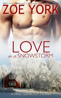 Book cover for Love in a Snowstorm