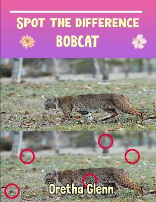 Book cover for Spot the difference Bobcat