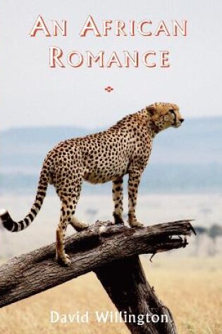 Cover of An African Romance