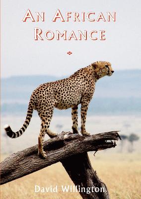 Book cover for An African Romance