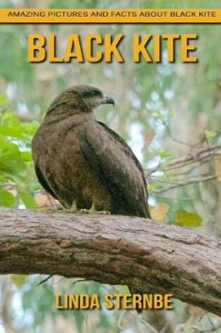 Cover of Black Kite